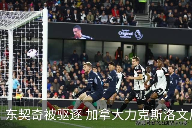 东契奇被驱逐 加拿大力克斯洛文尼亚晋级四强