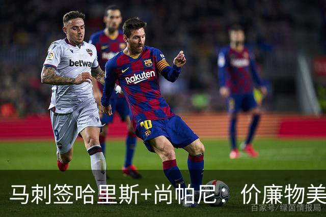 马刺签哈里斯+尚帕尼：价廉物美